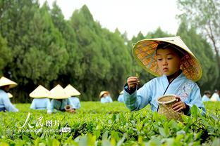 雷竞技怎么登录截图0